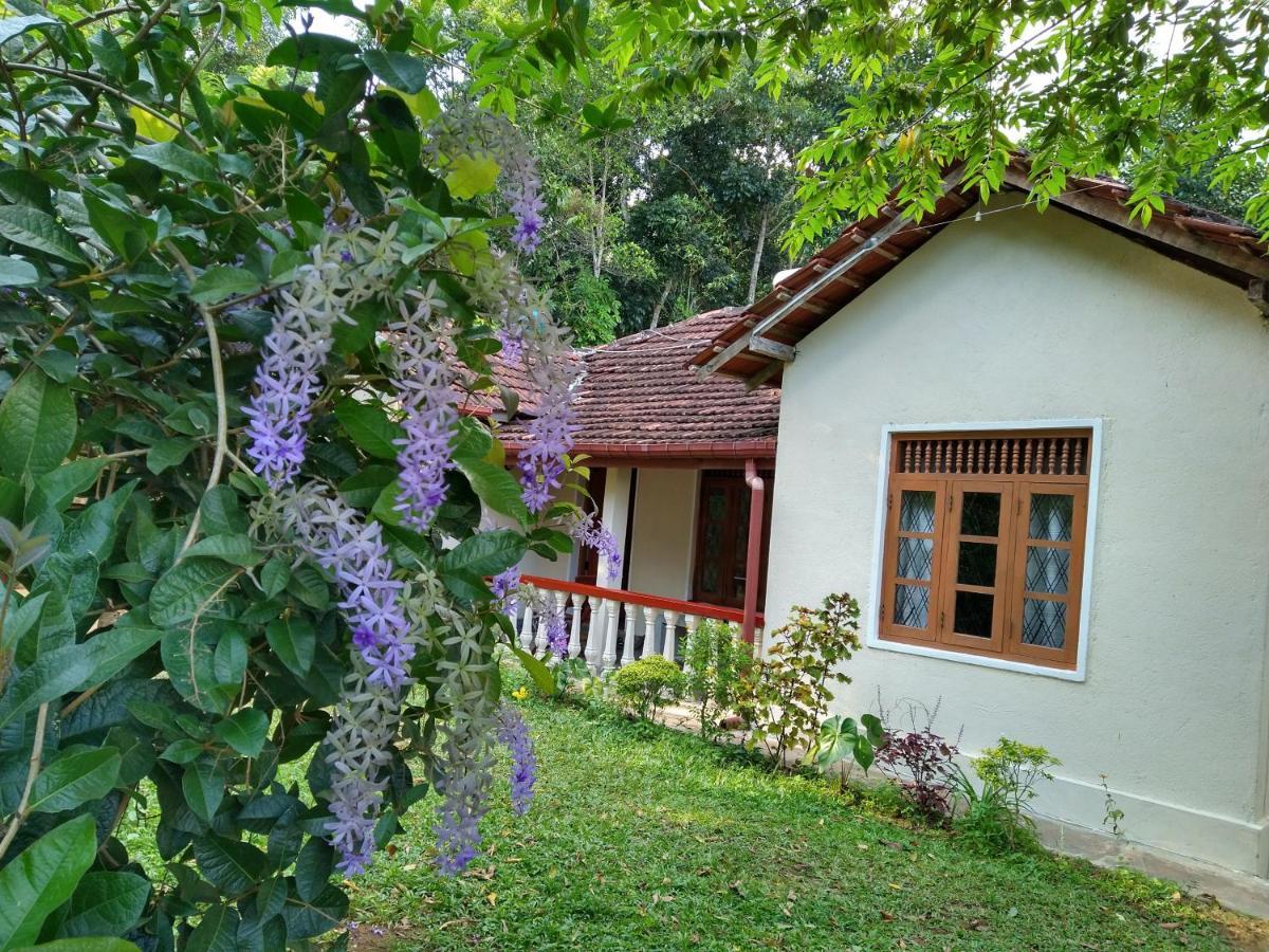 The Pepper Cottage Gomagoda Kültér fotó