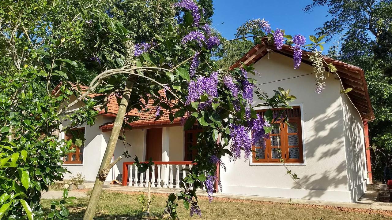 The Pepper Cottage Gomagoda Kültér fotó